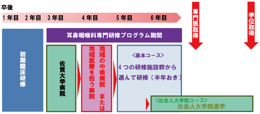 耳鼻咽喉科 基本的研修プラン 卒後