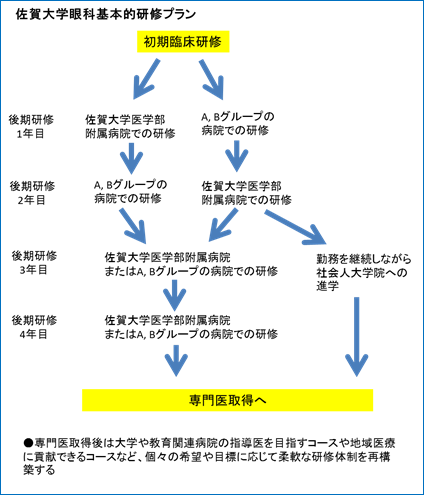 基本的な研修プラン